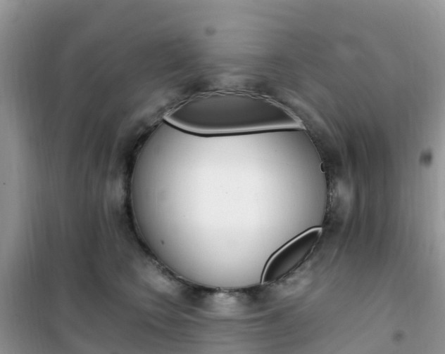 X0000102370566200808011026