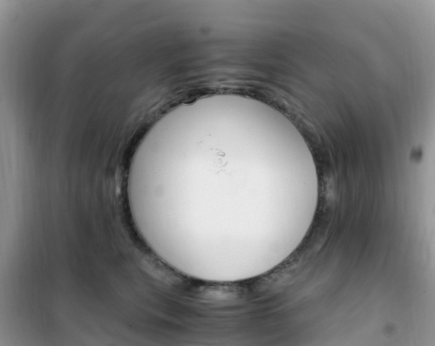 X0000102370567200808011026