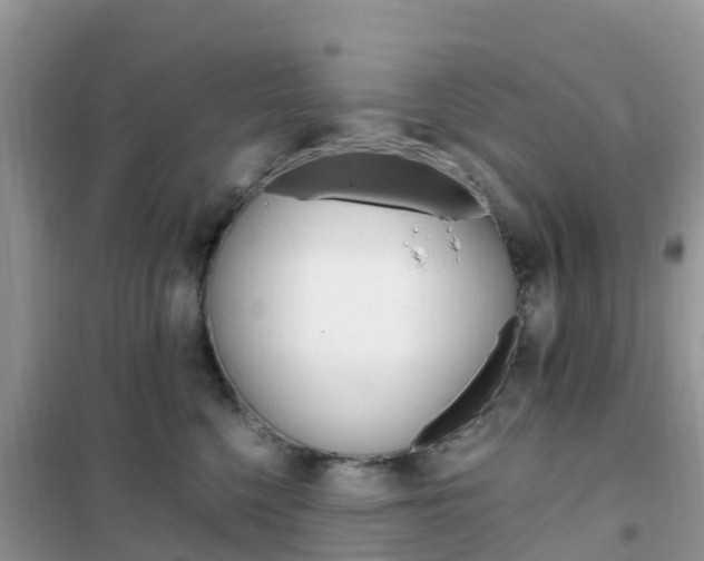 X0000102370568200808011026