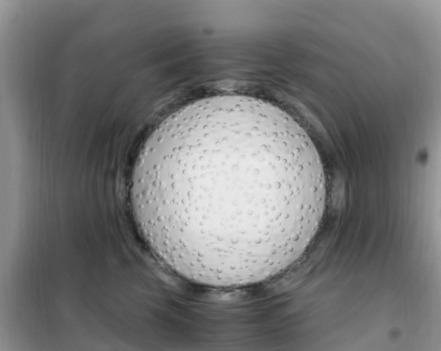 X0000102370569200808011026