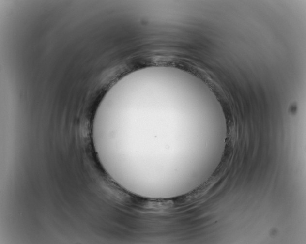 X0000102370571200808011026