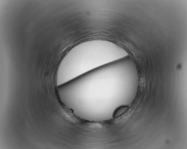 X0000102370572200808011026