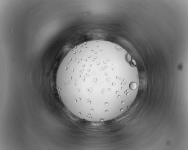 X0000102370573200808011026