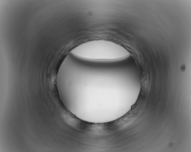 X0000102370574200808011026