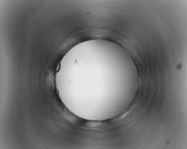 X0000102370575200808011026