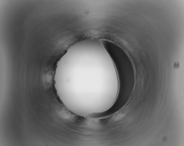 X0000102370576200808011027
