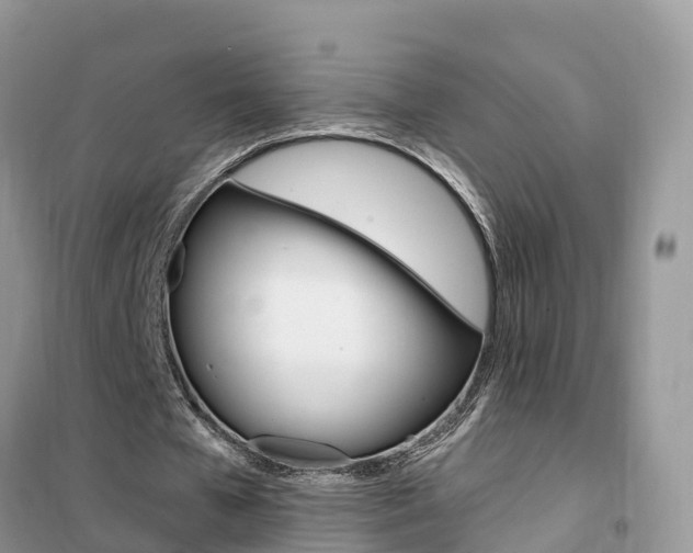X0000102370577200808011026