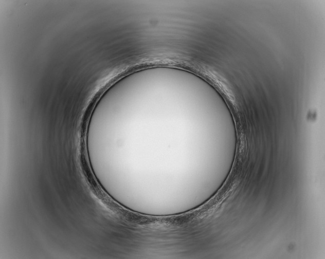 X0000102370578200808011026