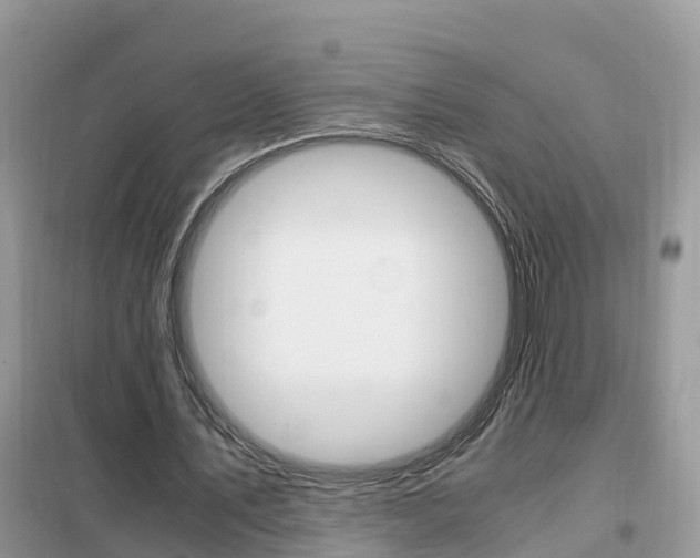 X0000102370579200808011026