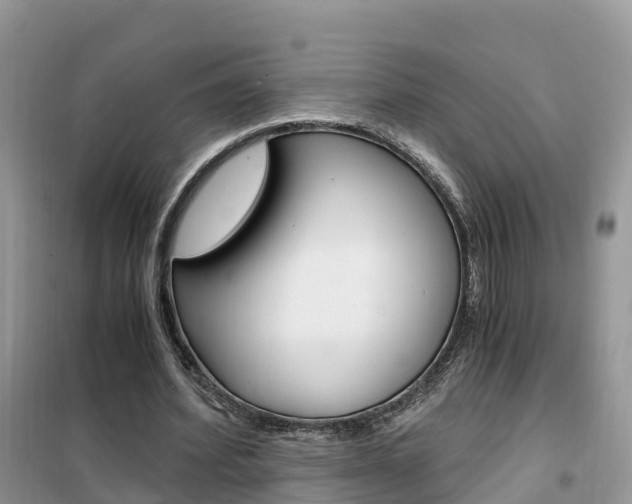X0000102370580200808011026