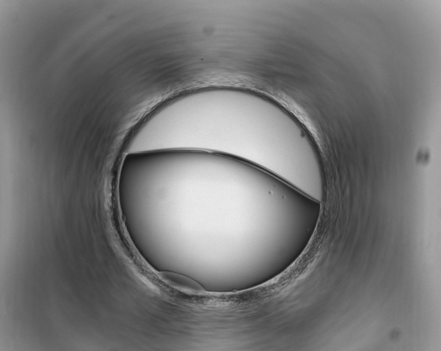 X0000102370581200808011026