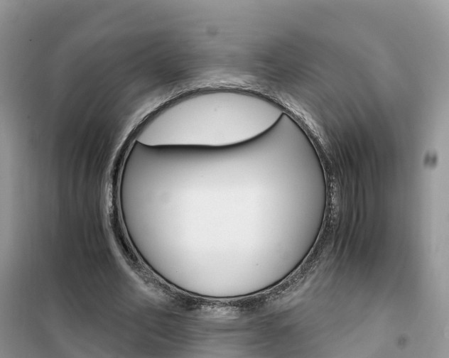 X0000102370582200808011026