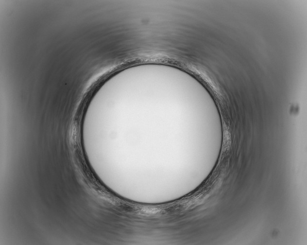 X0000102370583200808011026