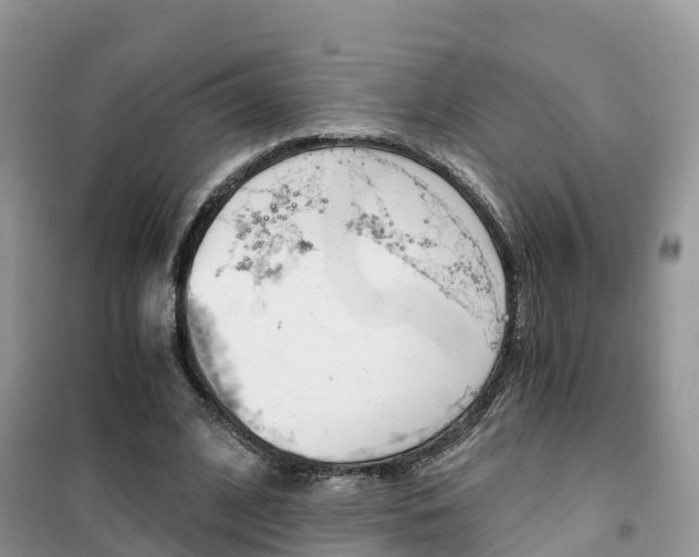 X0000102370584200808011026