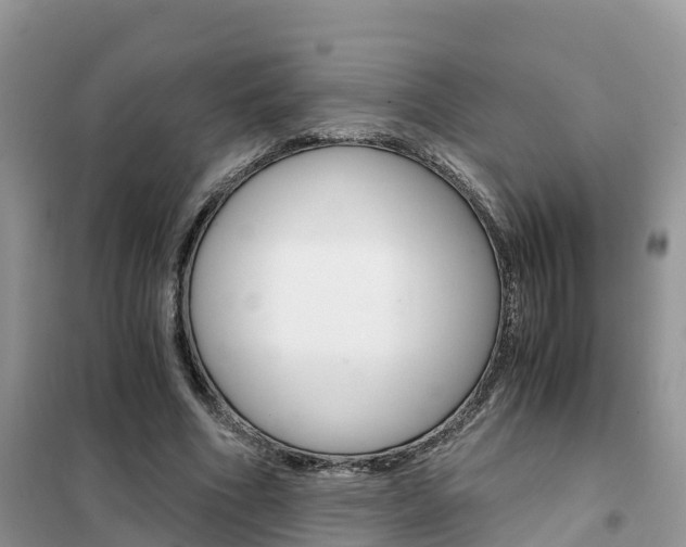 X0000102370586200808011026