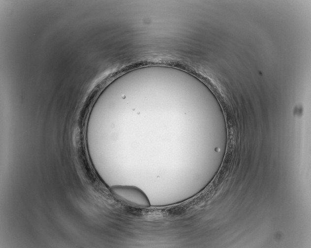X0000102370587200808011026