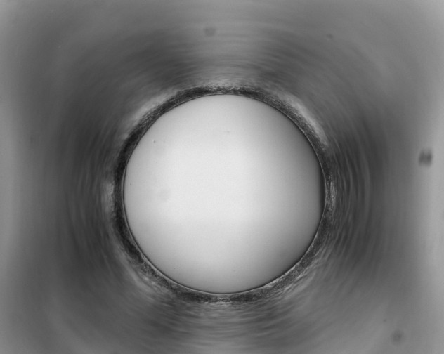 X0000102370588200808011026