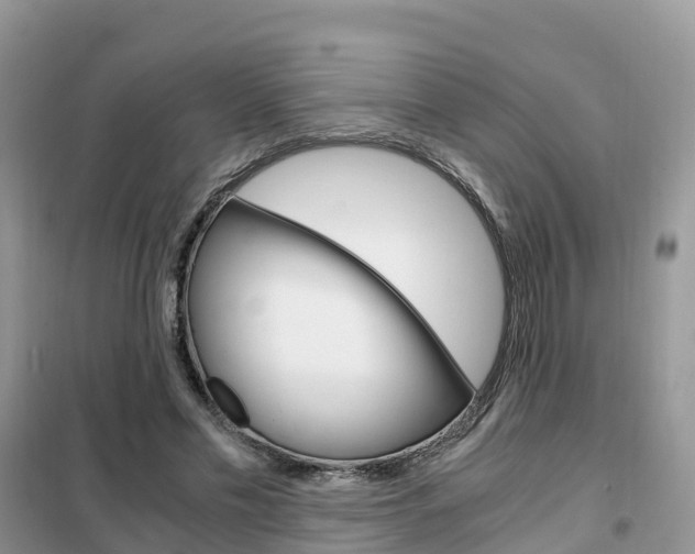 X0000102370589200808011026
