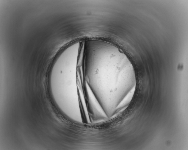 X0000102370592200808011026