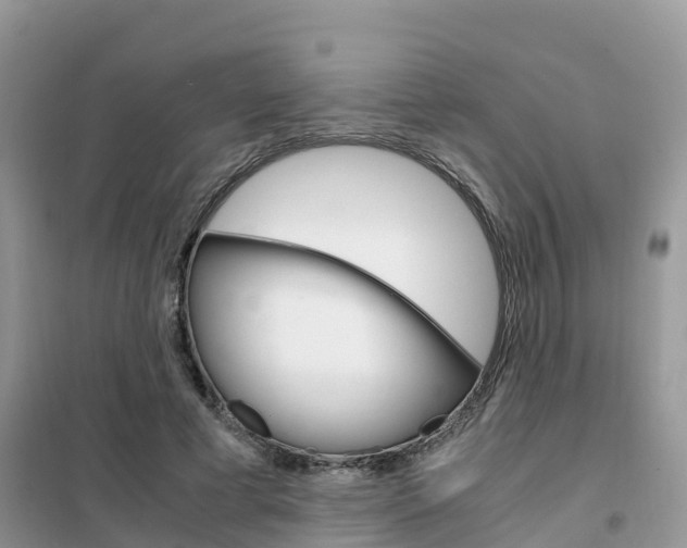 X0000102370593200808011026
