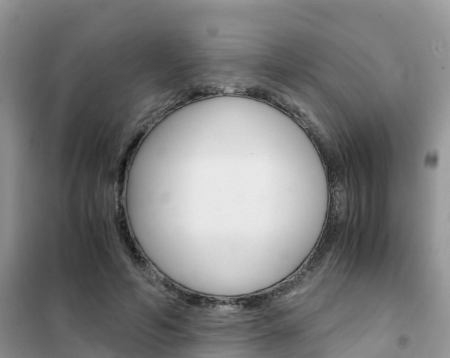 X0000102370594200808011026