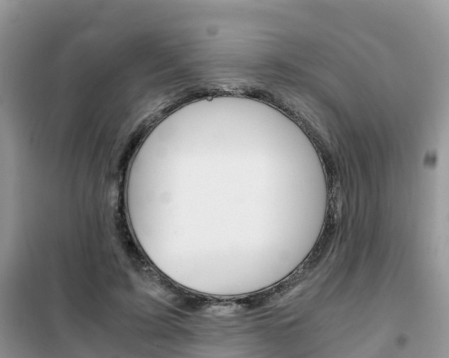 X0000102370595200808011026