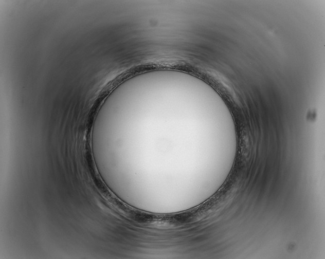 X0000102370596200808011026