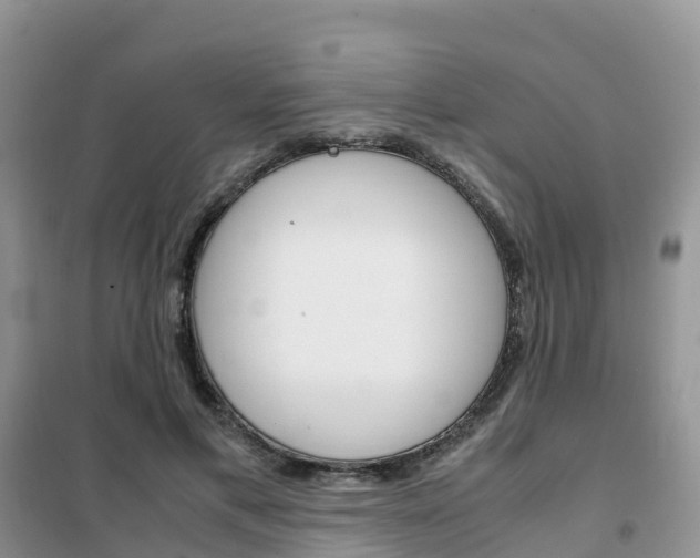 X0000102370597200808011026