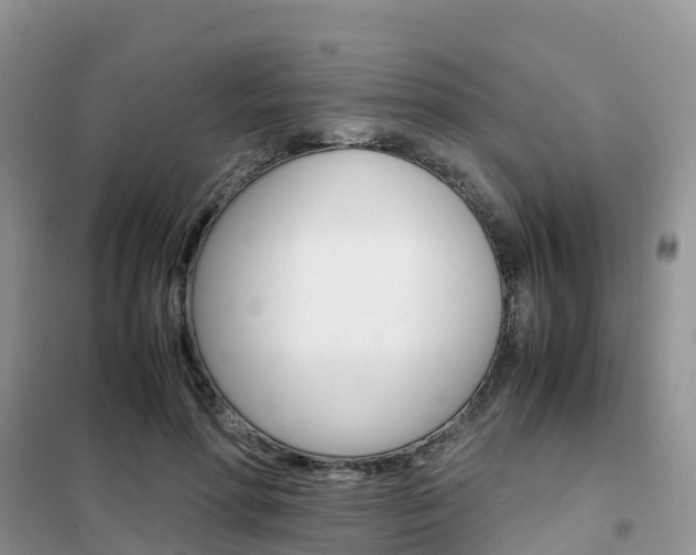 X0000102370598200808011026