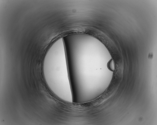 X0000102370600200808011026