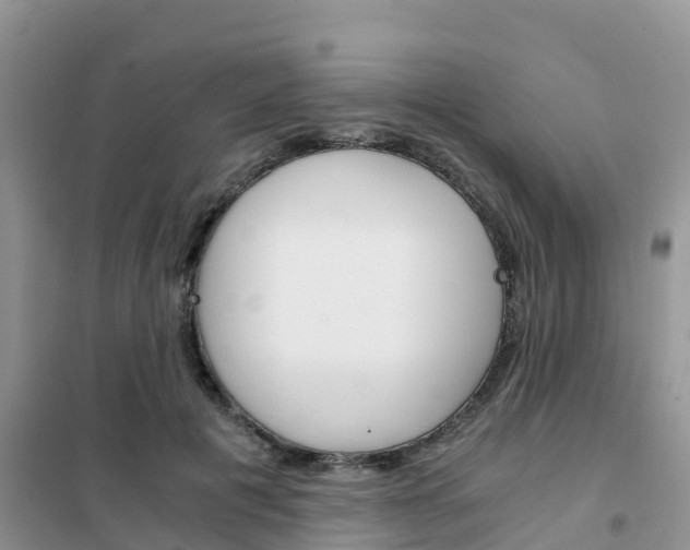 X0000102370601200808011026