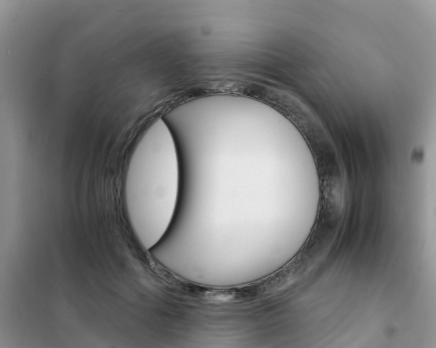 X0000102370602200808011025