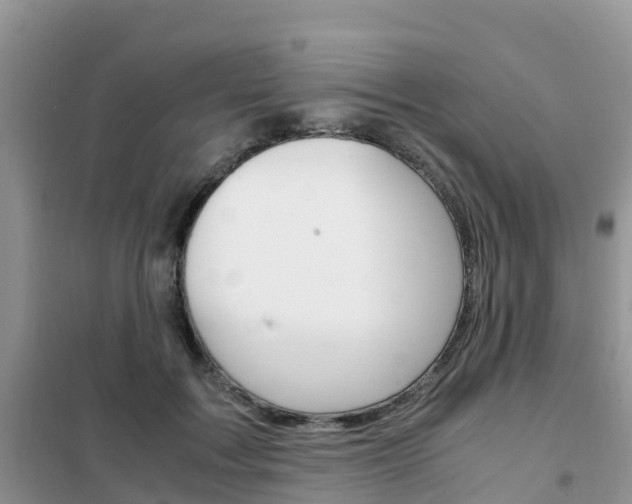 X0000102370603200808011025