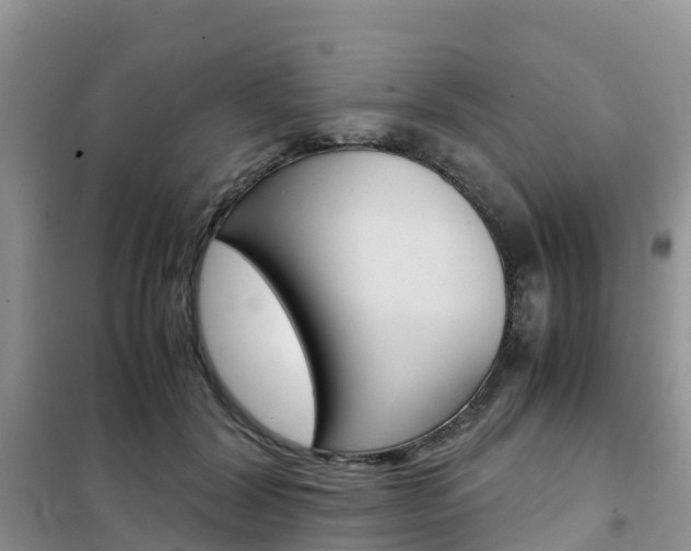 X0000102370604200808011025