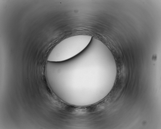 X0000102370606200808011025