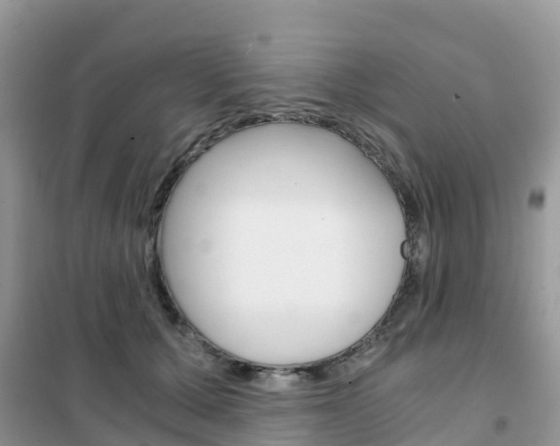 X0000102370607200808011025