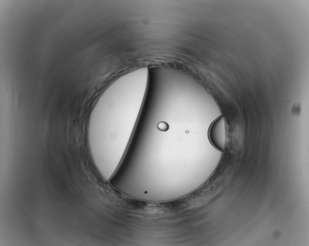 X0000102370608200808011025