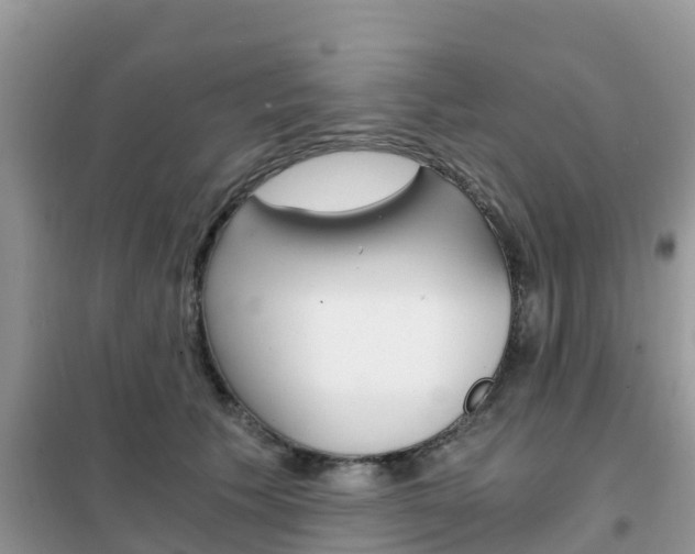 X0000102370609200808011025