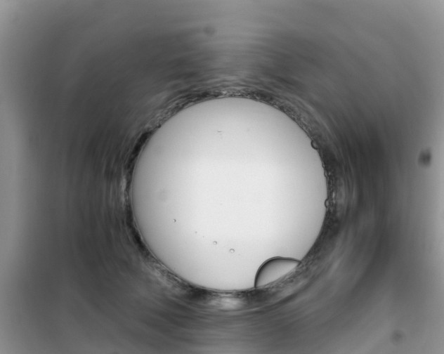 X0000102370610200808011025
