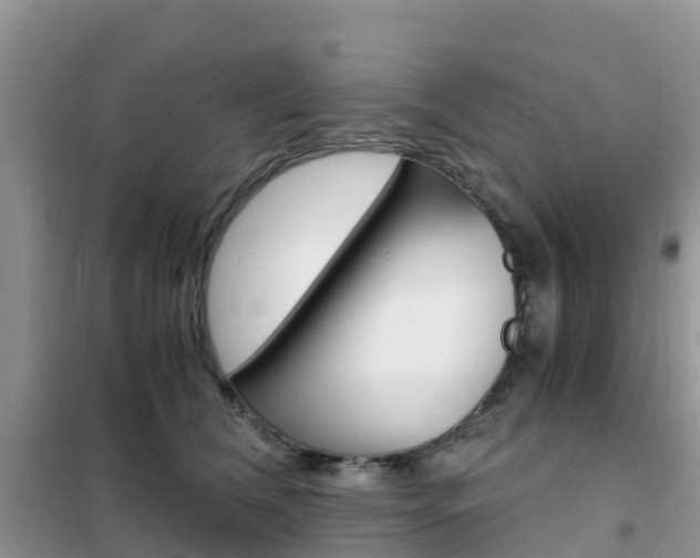 X0000102370612200808011025