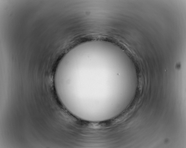 X0000102370613200808011025