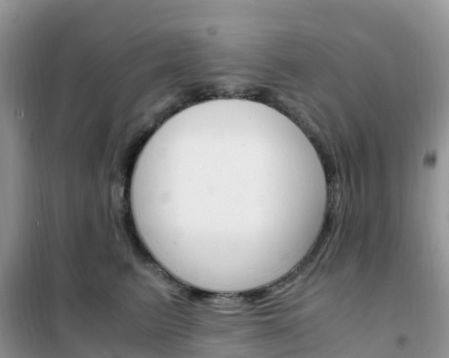 X0000102370615200808011025