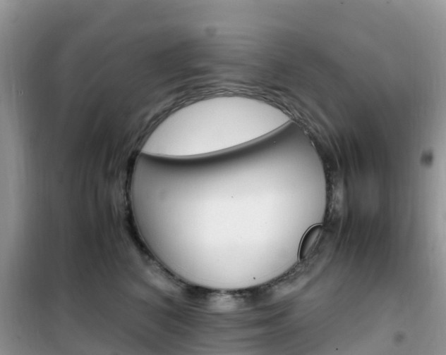 X0000102370616200808011025