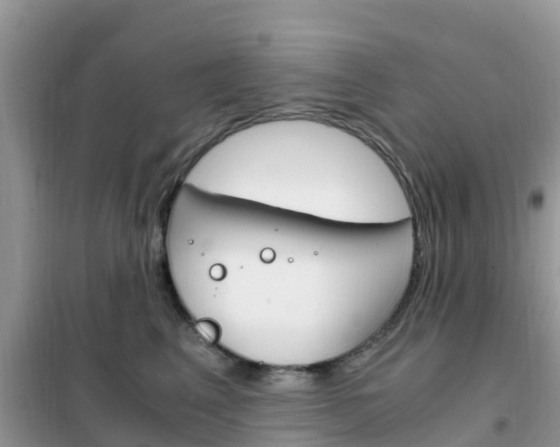 X0000102370617200808011025