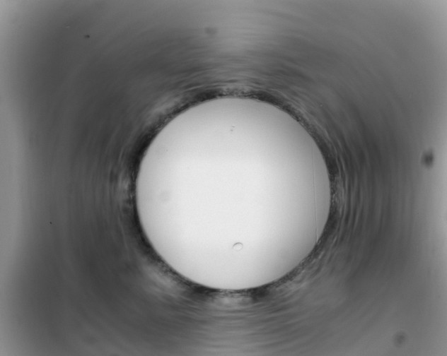 X0000102370619200808011025