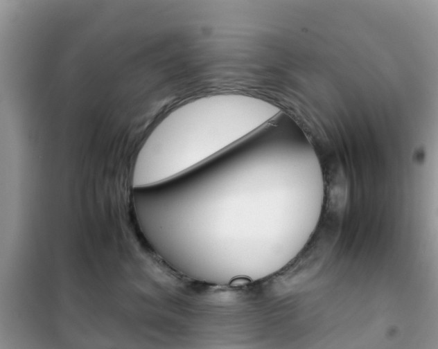 X0000102370620200808011025