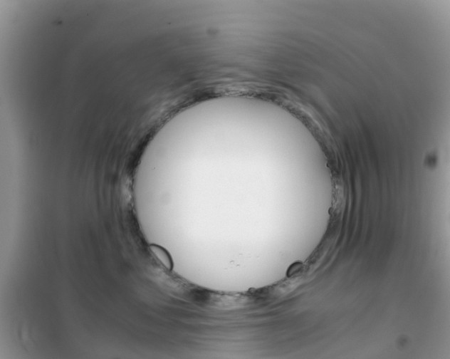 X0000102370621200808011025