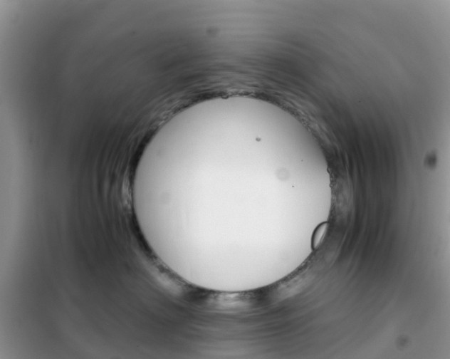 X0000102370622200808011025