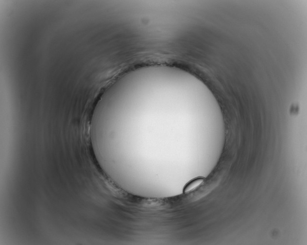 X0000102370624200808011025