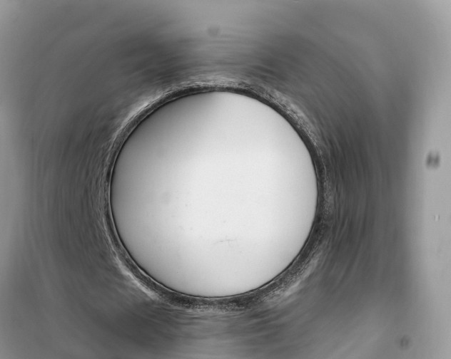 X0000102370625200808011024